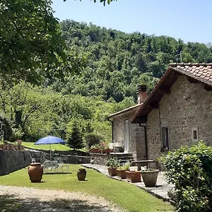 Country Turicchi , Londa Italy